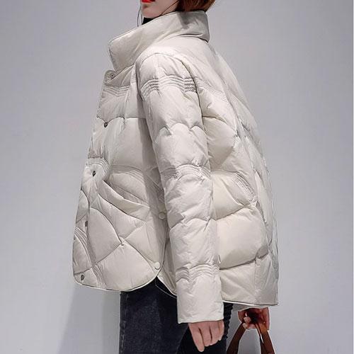 ��ǰ ������